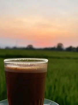 Coffee at Sunset Over Green Fields Stock Photos
