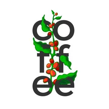 Coffee symbol. Vector real branch, organic bean, green fresh leaves, typograp Illustrazione stock