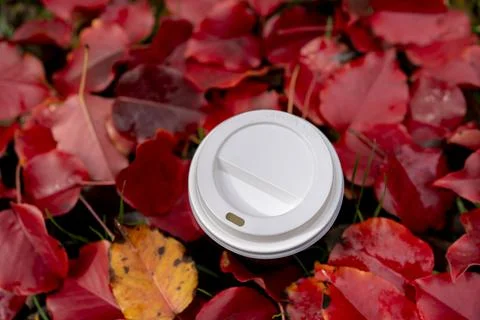 Coffee take away Stock Photos