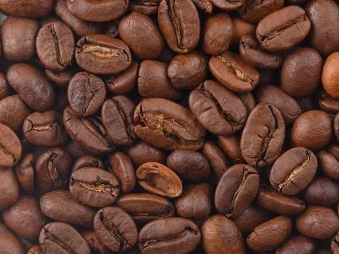 Coffee texture beans macro under hard light. Photo horizontal HD Stock Photos