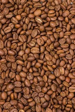 Coffee texture. coffee beans as background wallpaper. arabica cofee bean Stock Photos
