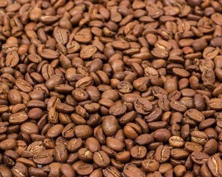 Coffee texture. coffee beans as background wallpaper. arabica cofee bean Stock Photos