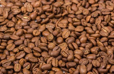 Coffee texture. coffee beans as background wallpaper. arabica cofee bean Stock Photos