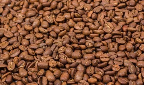 Coffee texture. coffee beans as background wallpaper. arabica cofee bean Stock Photos
