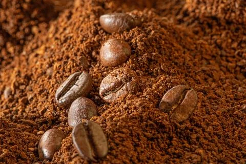 Coffee theme. Coffee beans lie on a pile of ground coffee, close-up Stock Photos