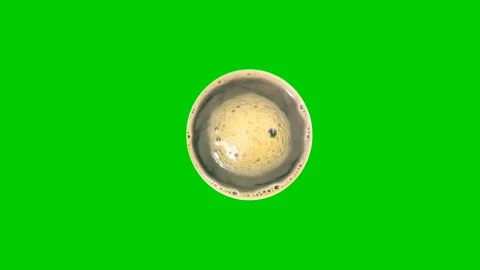 Coffee top view Flow Green Screen stock video Vidéo 267977186