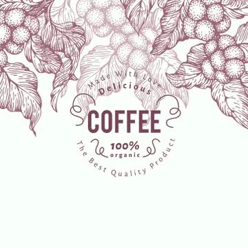 Coffee tree banner template. Vector illustration. Vintage coffee background Stock Illustration