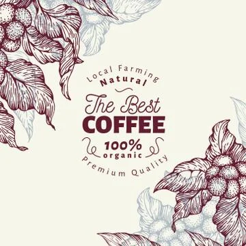 Coffee tree banner template. Vector illustration. Vintage coffee background Stock Illustration