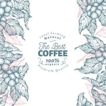 Coffee tree banner template. Vector illustration. Vintage coffee background Stock Illustration