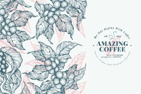 Coffee tree banner template. Vector illustration. Vintage coffee background Stock Illustration