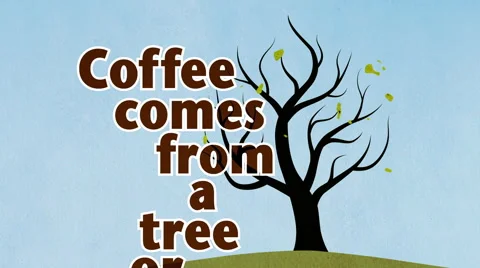 Coffee tree growing with text 動画素材 41776258