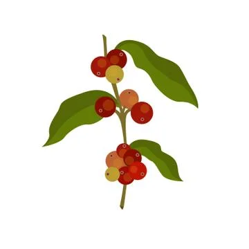 Coffee tree icon, vector hand draw illustration Stock Illustration