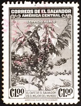 Coffee tree on old postage stamp of El Salvador Stock Photos