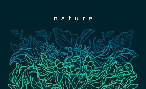 Coffee tree. Tropical foliage. Vector hand drawn template. Nature neon green  Stock Illustration