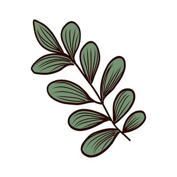 Coffee twig with leaves in flat design. Abstract arabica plant branch. Vect.. Illustration