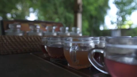 Coffee varieties in sample cups at Teba Sari coffee House near Lodtunduh, Ubud, Stock Footage 242895698
