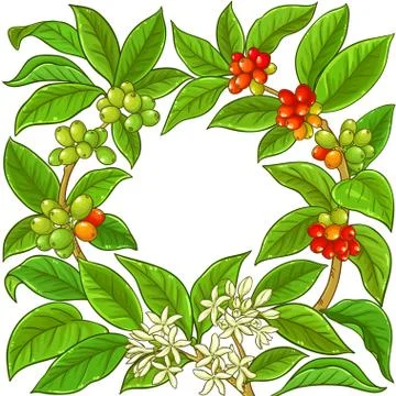 Coffee vector frame Stock Illustration