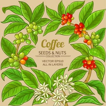 Coffee vector frame Stock Illustration