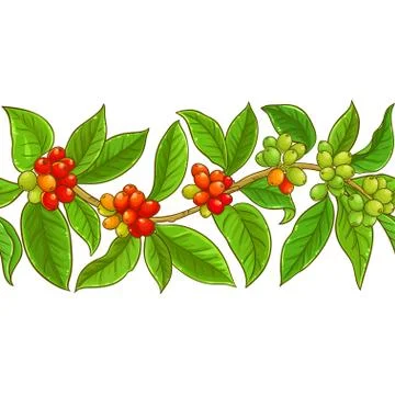 Coffee vector pattern Stock Illustration