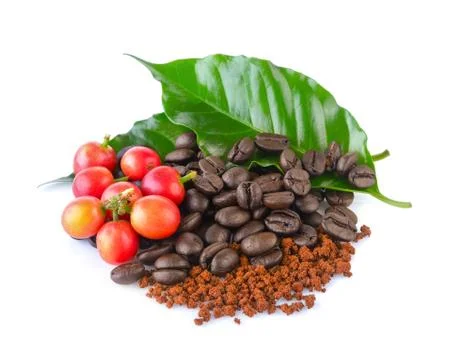 Coffee on white background Stock Photos