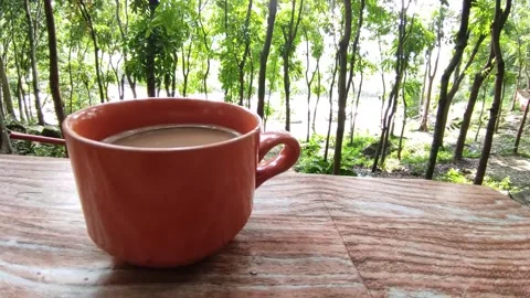 Coffee in The Windy Forest 库存影片 296718084