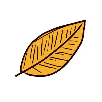 Coffee yellow leaf in flat design. Abstract plant and arabica harvest. Vect.. Illustration