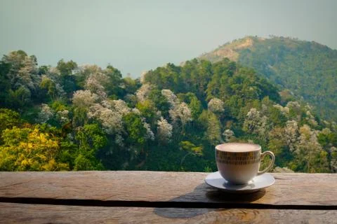 Coffeeatterrace Stock Photos