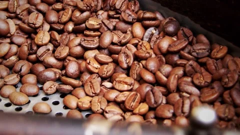 Coffeebeans Stock Footage 243010996