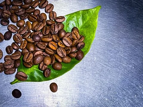 Coffeebeans put on green leaf Stock Photos