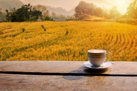 Coffeeinwheatfield Stock Photos