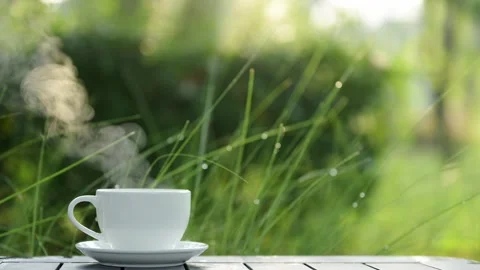 CoffeeMug-White-Steam--Rotated-Left Stock Footage 294881227