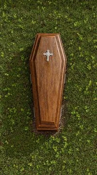 Coffin on green grass Stock Illustration