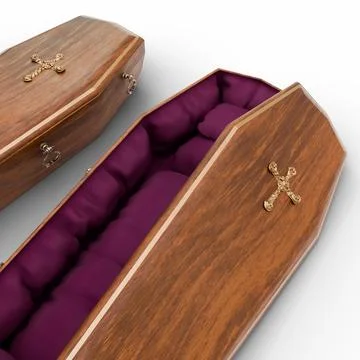 Coffin isolated on white background Stock Illustration