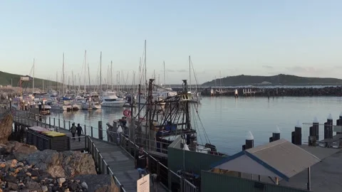 Coffs harbour marina Stock Footage 269376888