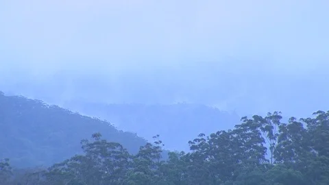 Coffs Harbour Timelapse Video stock 114724655