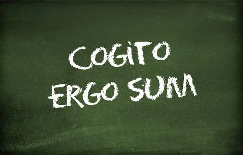 Cogito ergo sum Stock Illustration