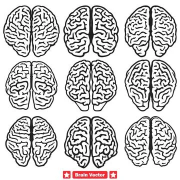 Cognitive Canvas Versatile Brain Vector Collection for Brainstorming Sessio.. Stock Illustration