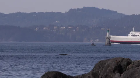 Coho Ferry Passing Navigation Marker Stock Footage 37799352