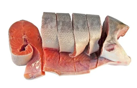 Coho salmon Stock Photos