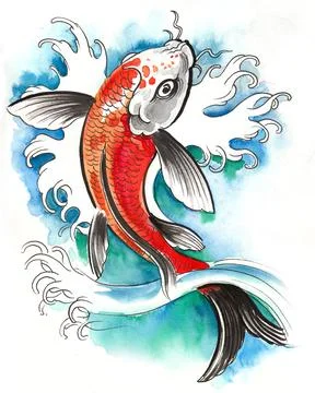 Coi fish Stock Illustration