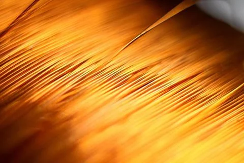 A coil of copper wire on a black background Stock Photos