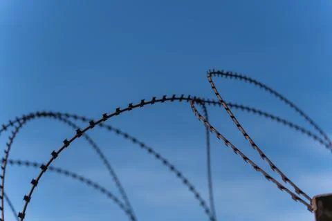 Coiled barbed wire against clear blue sky Stock Photos