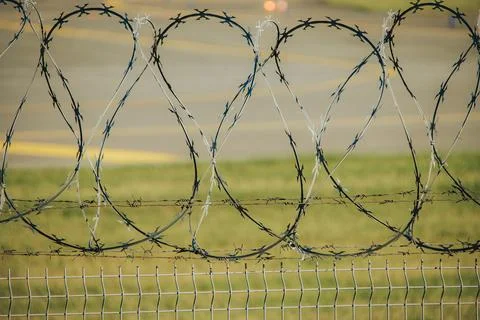 Coiled barbed wire loops above wire mesh fencing with open green field and .. Stock Photos