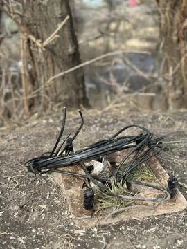 Coiled Black Electric Cable on Ground Outdoors Stock Photos