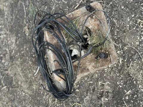 Coiled Black Electric Cable on Ground Outdoors Stock Photos