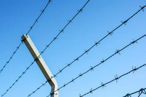 Coiled razor wire with its sharp steel barbs on top of a mesh perimeter fence Stock Photos