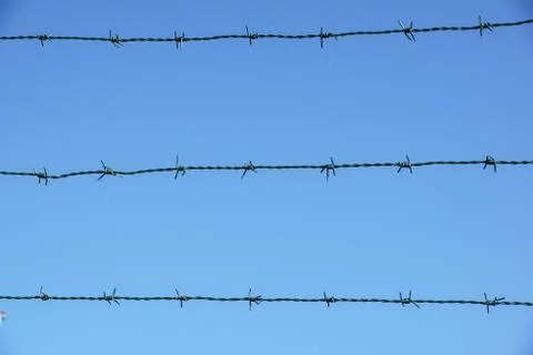 Coiled razor wire with its sharp steel barbs on top of a mesh perimeter fence Stock Photos