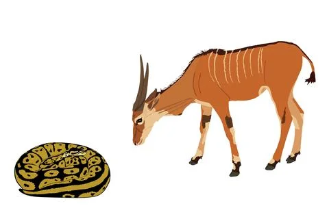 Coiled snake python chasing eland antelope 스톡 일러스트