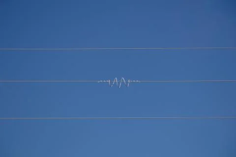 Coiled wire on power cables serving as a humane bird scarer in Andalucia Spai Stock Photos
