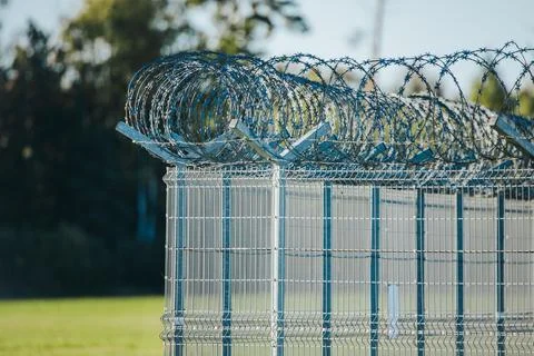Coils of barbed security wire above a tall metal mesh fence with blurred tr.. Stock Photos